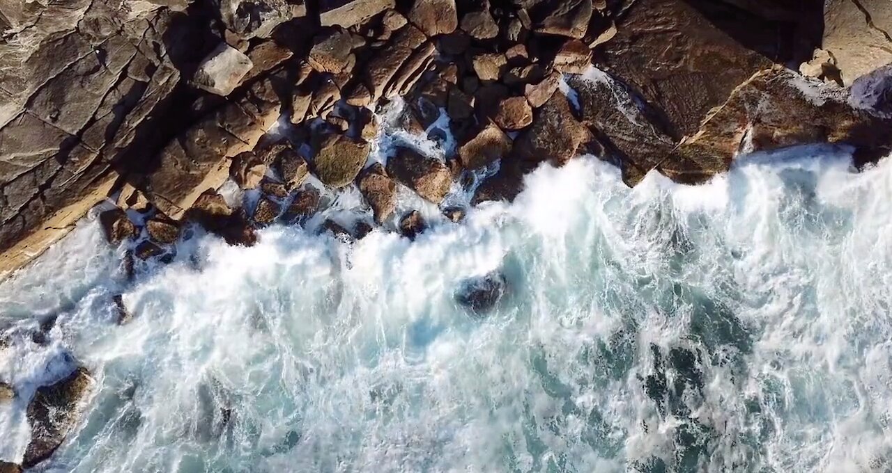 Ocean Sounds and Forest Nature Sound: Meditation, Sleep