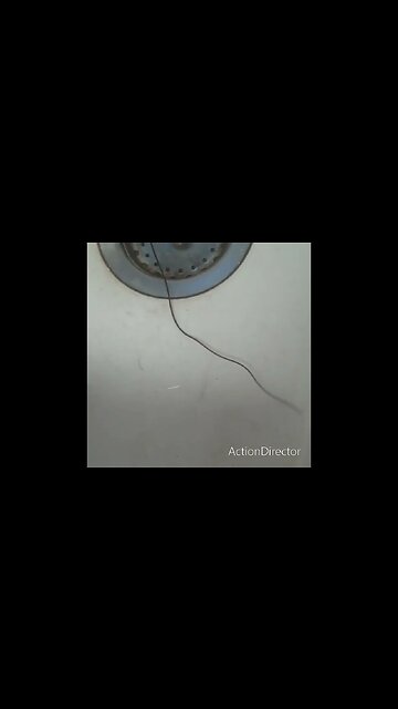 This is a horsehair worm in the kitchen sink at the cabin. I think they're kind of rare.