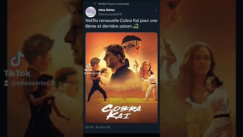 Netflix renouvelle Cobra Kai pour une 6ème et dernière saison.🐍