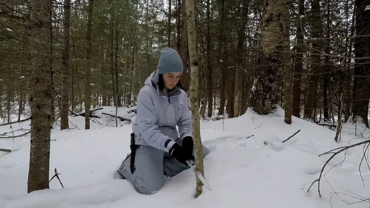 Winter Bushcraft: Camping with my Husky (-20⁰C)-16