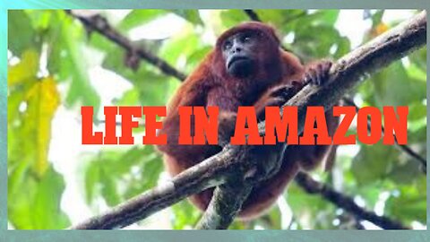 Life in Amazon, Interesting silent film
