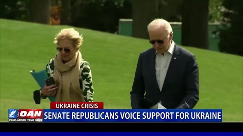 Senate Republicans Voice Support For Ukraine