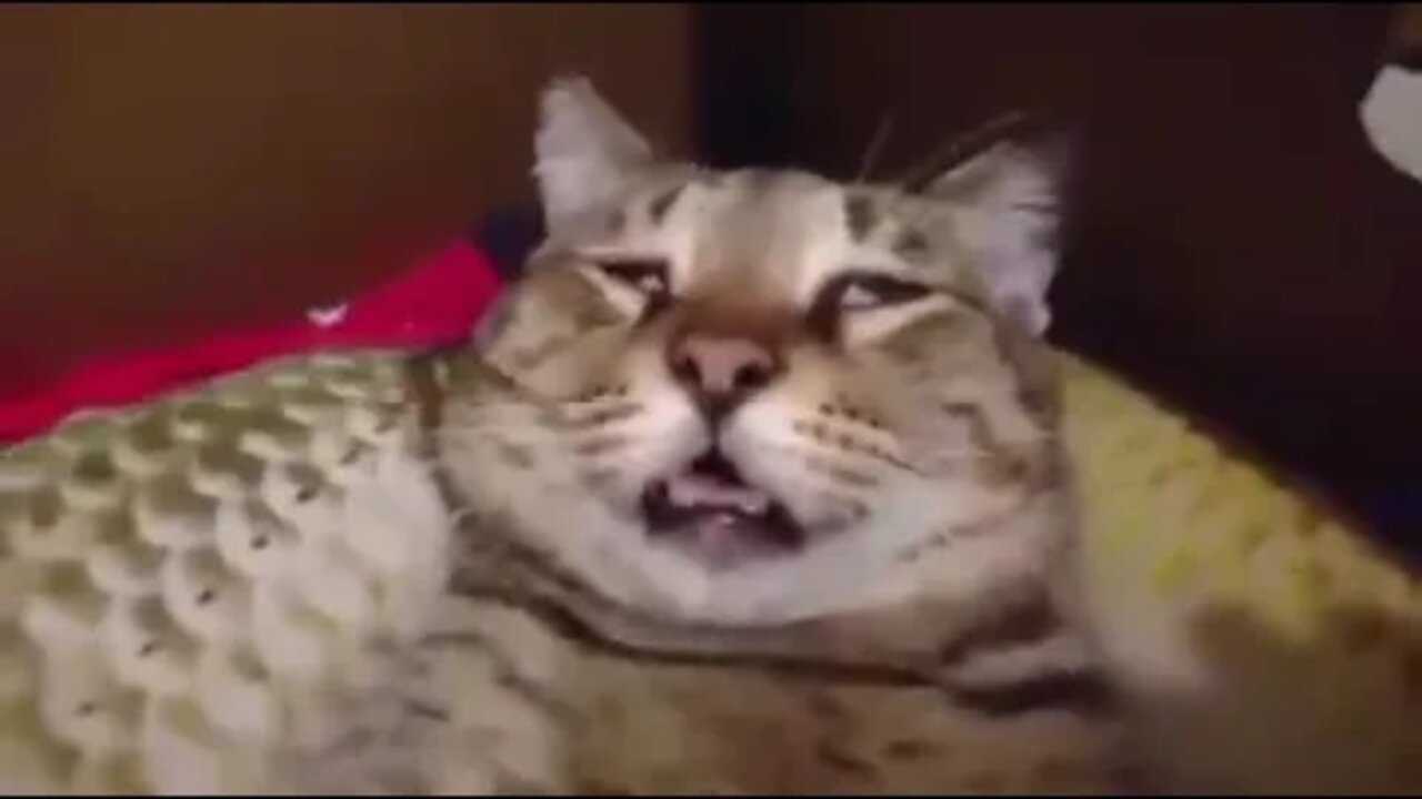 ۲ دسامبر ۲۰۲۲