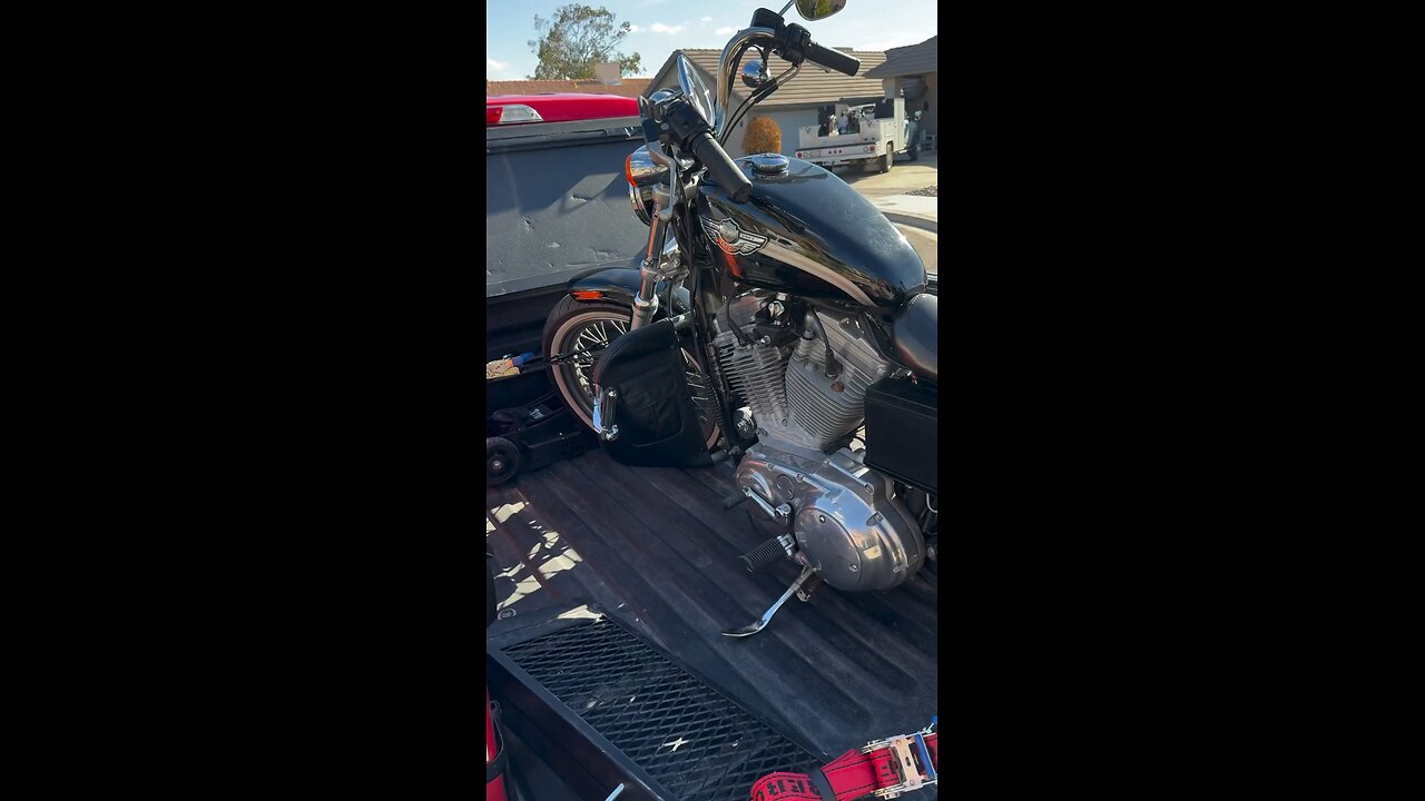 2003 Harley Davidson 883 Sportster Project