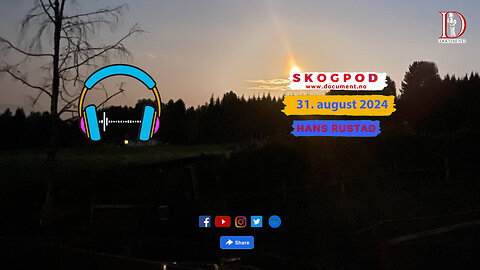 Skogpod 31. august 2024