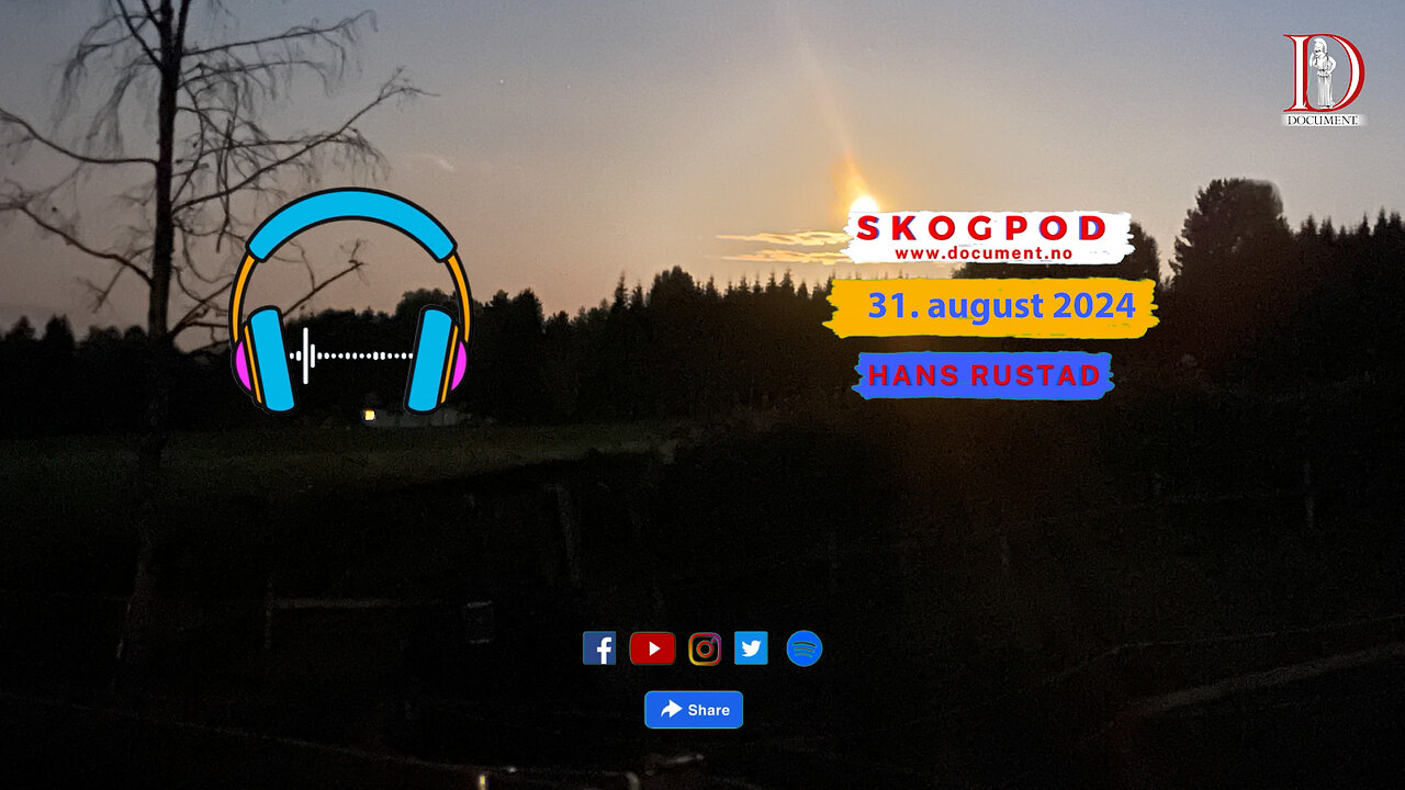 Skogpod 31. august 2024