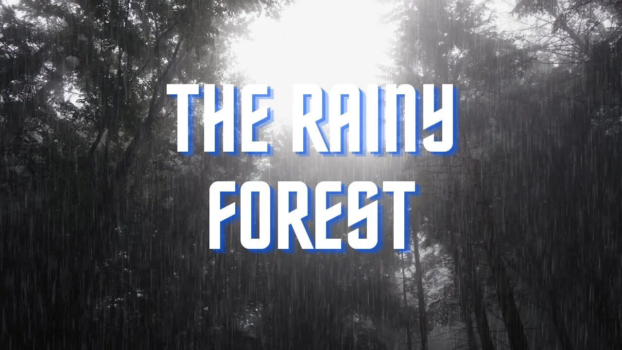 The Rainy Forest | Rain Nature Sounds For Sleeping and Studying