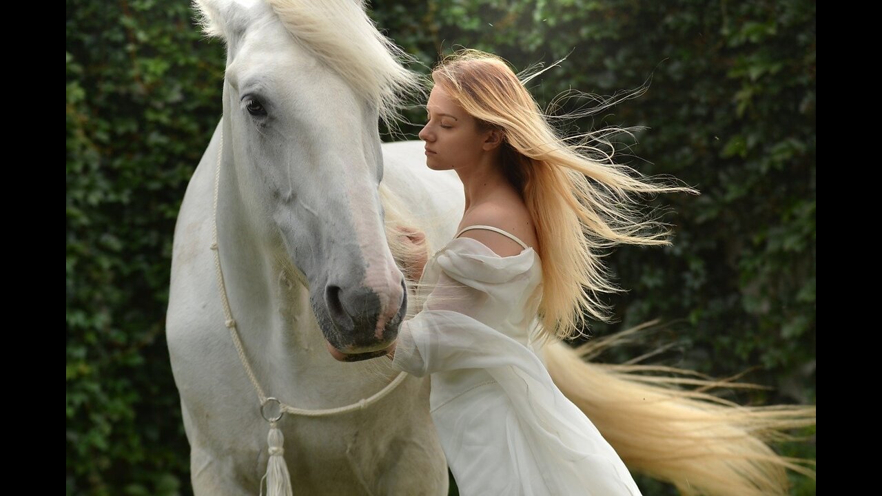 Lovely White Horse