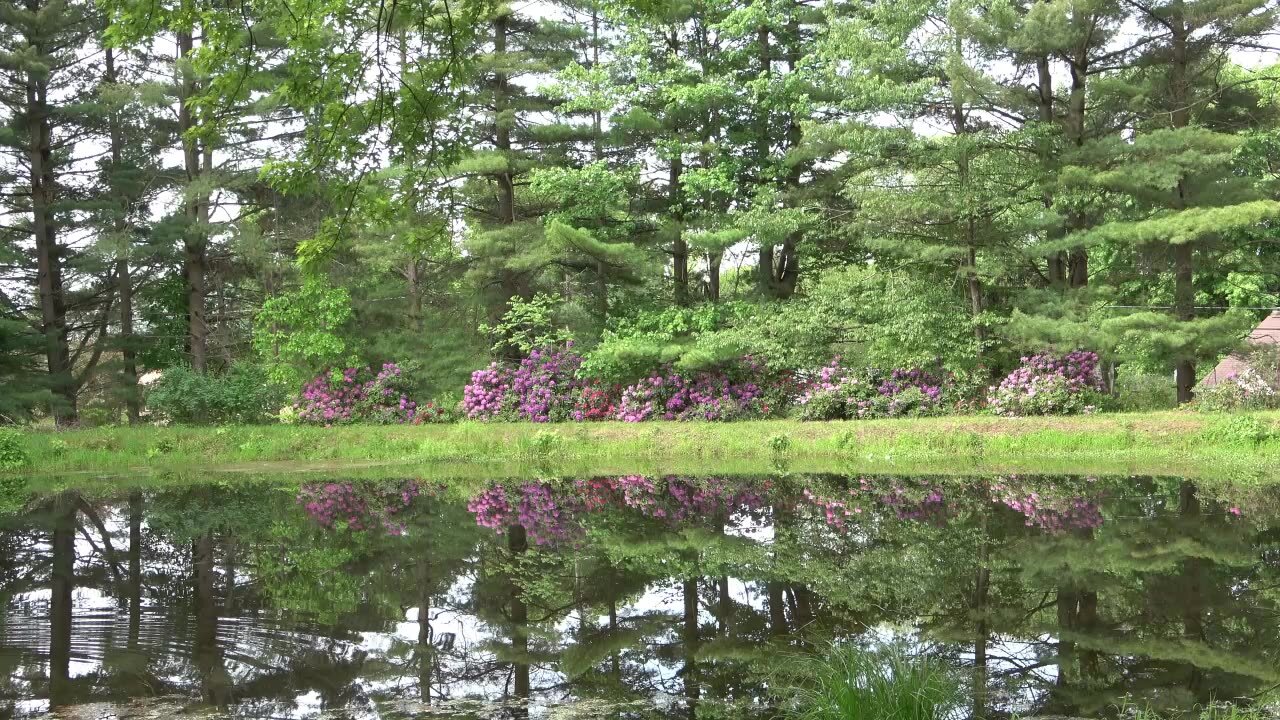 Deerfield Trustees July 22, 2024 6:00PM