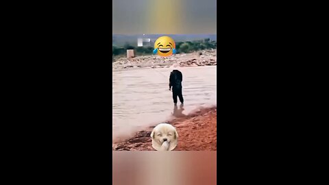 Very funny videos🤣🤣