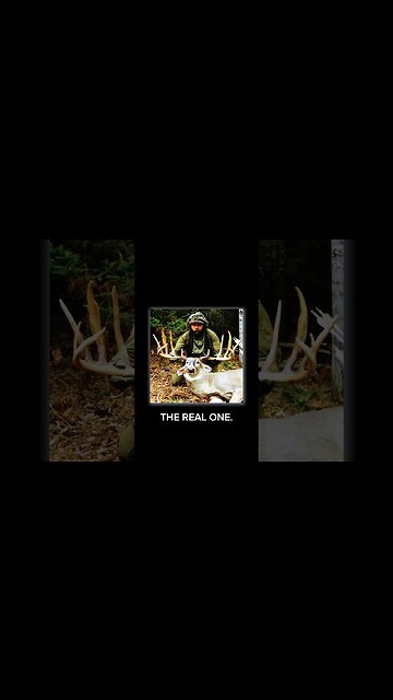 Passing a 200”? #deerhunting