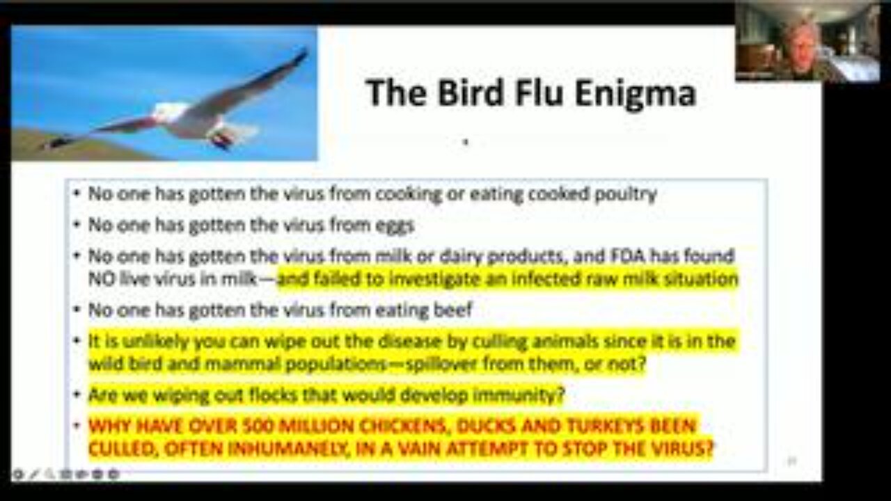 27 Years of Human Bird Flu, Vaccines, and Questions - Meryl Nass