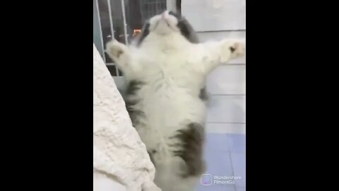 Open the door!