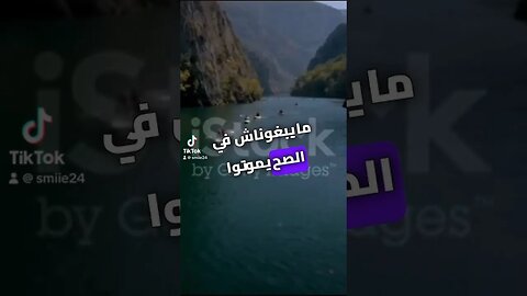 مايبغوناش في الصح يموتوا على اخبارنا