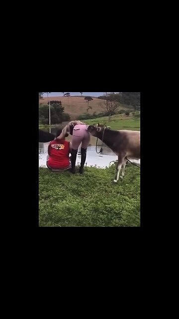 Wow he was like yea that smells about right