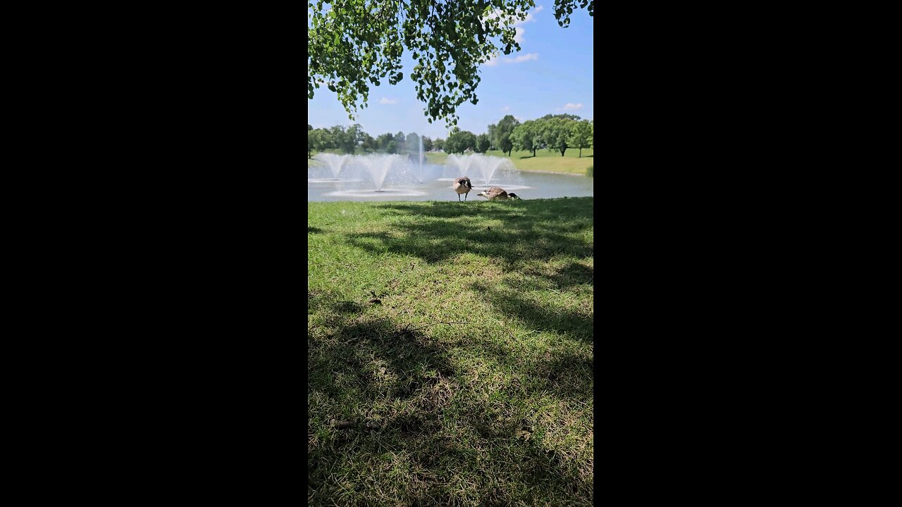 My Peaceful Place - Forgiveness