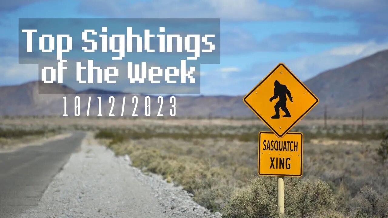 Top Sightings of the Week