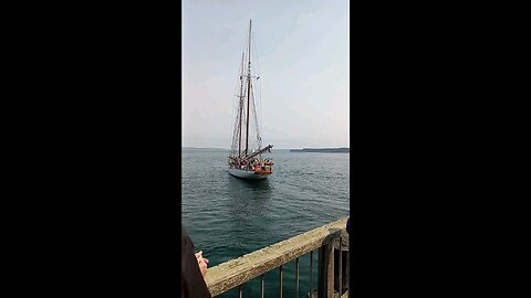 Boat Show