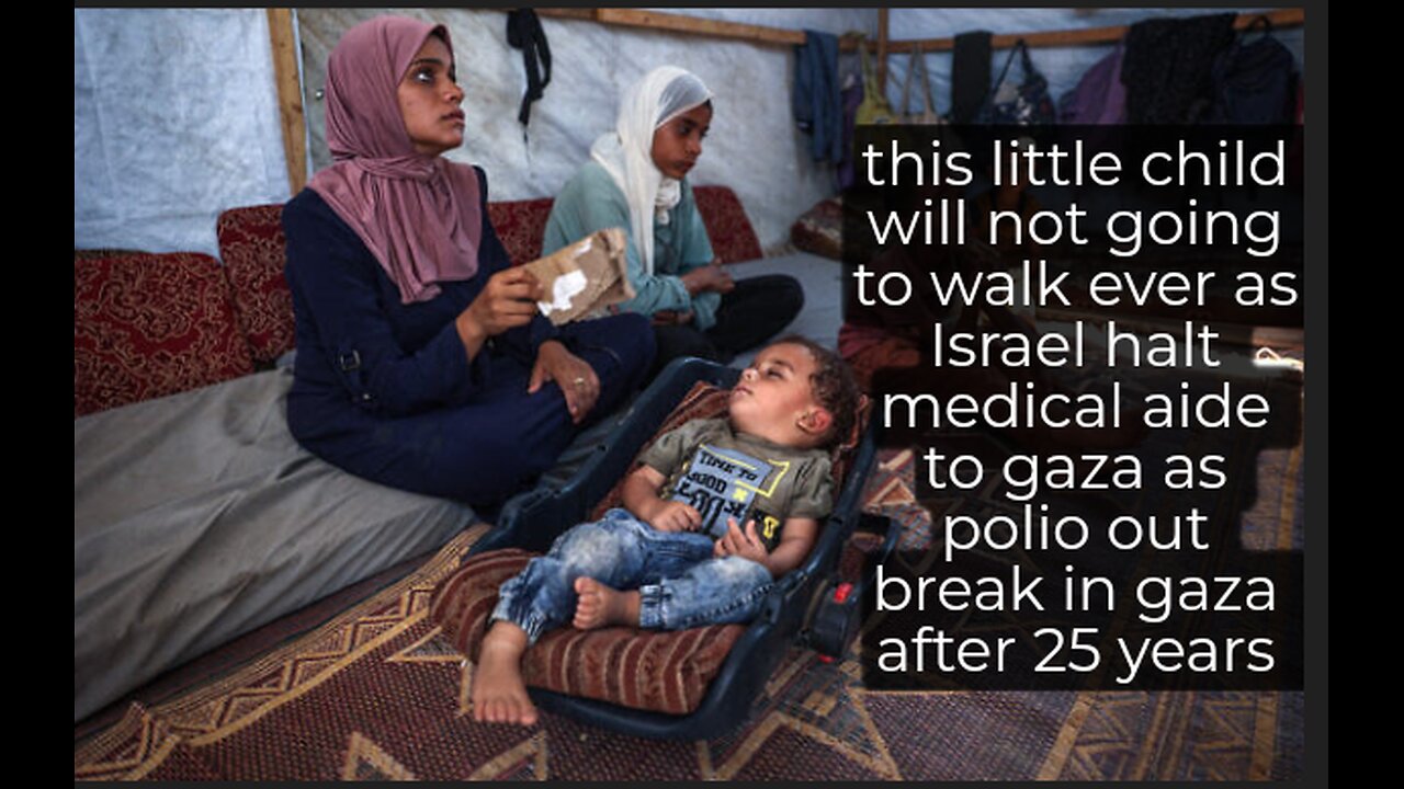 poliovaccine drive in Gaza IDF destroyed 70% infrastructure in west bank abandoned Harris campaign