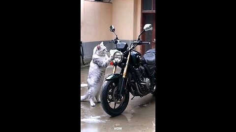 motor cycle cleaning