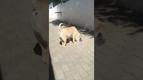 Dinner time, we all just relaxing outside