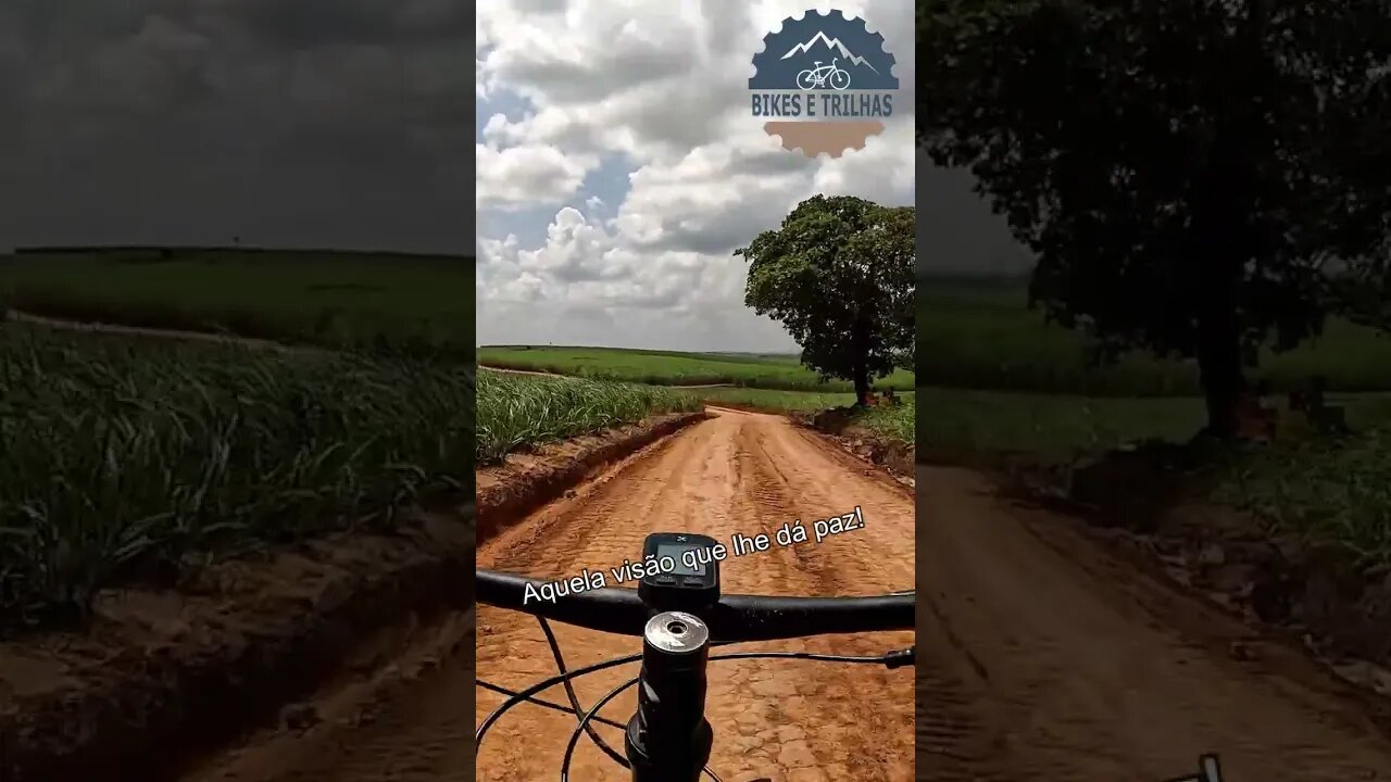 Aquela visão que lhe dá paz - BIKES E TRILHAS #shorts #trilha #bike