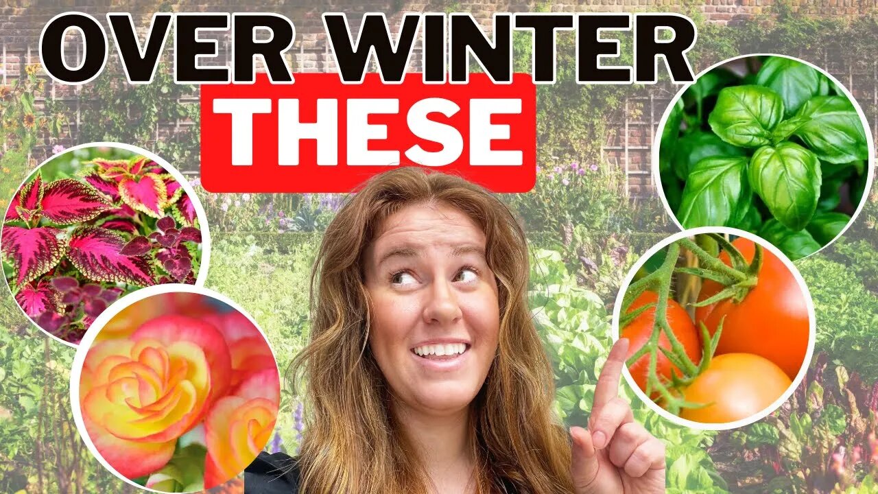 3 Ways To Over Winter Your ENTIRE Garden Indoors!?