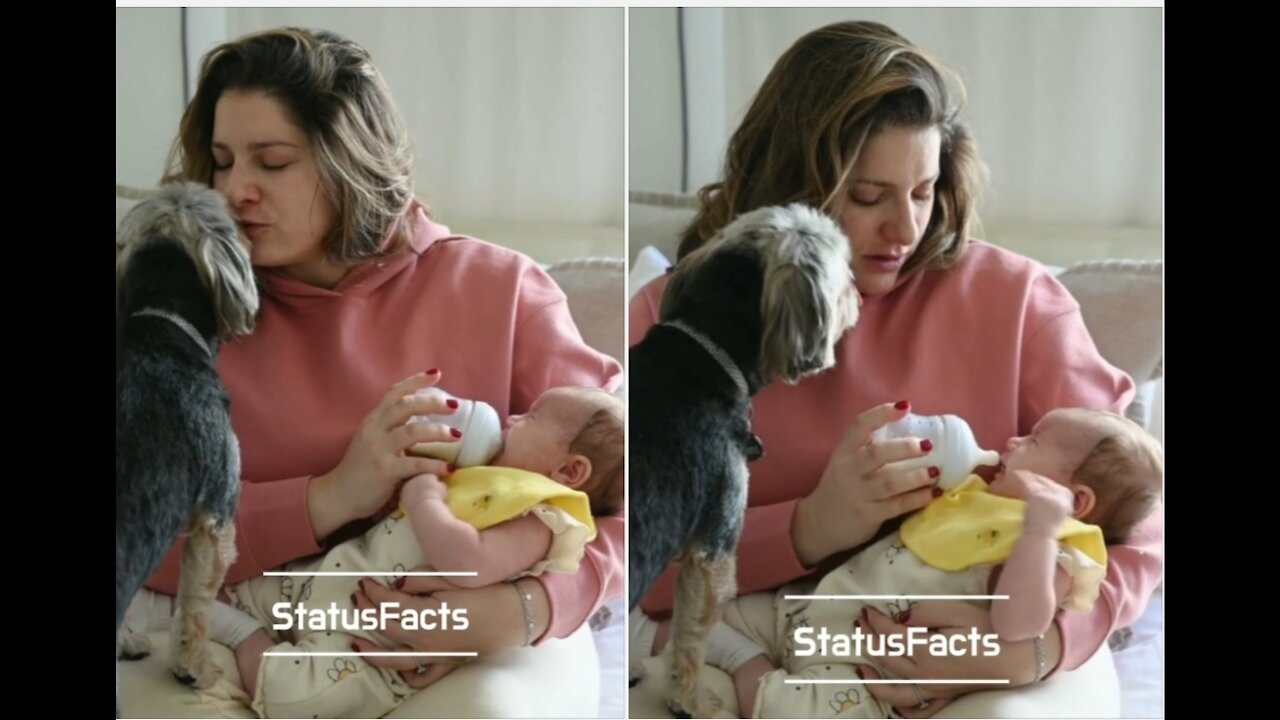 Baby and dog always sleep in one room - Then her mother saw something