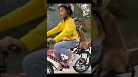 The girl is riding a bicycle with a dog#shorts