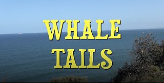 WHALE TAILS