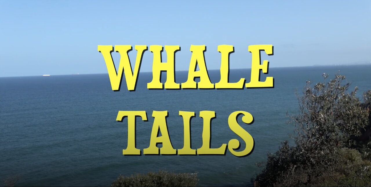 WHALE TAILS