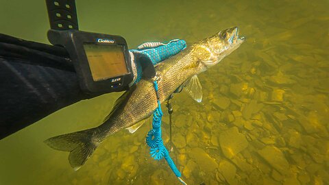 Arkansas Spearfishing 2