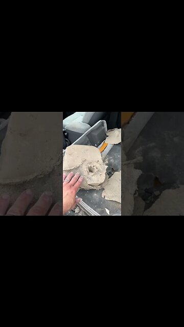 .450 Bushmaster Vs A Car 🚗