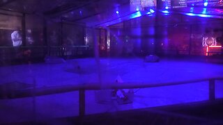 Extreme Robots Maidstone 2024: ThunderChild Vs Hades Vs Stinger Vs Audacious