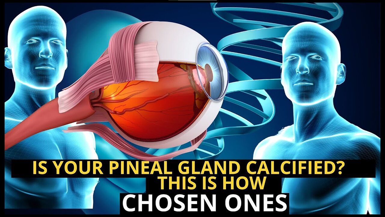 "FREUDIAN SLIP" OF A RELIGIOUS SUN WORSHIPPING FLAT EARTH FLATTARD WITH CALCIFIED PINEAL GLAND