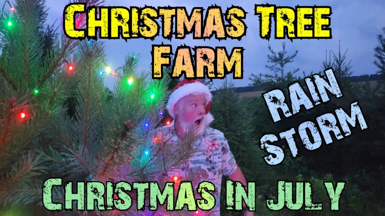 Christmas in July - Car Stealth Camp - Heavy Rain and Wind Storm