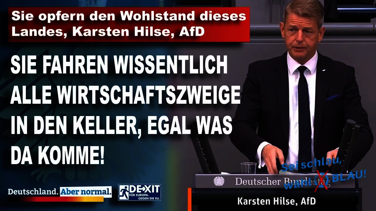 Sie opfern den Wohlstand dieses Landes, Karsten Hilse, AfD