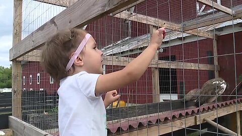 Maybury Farm in Northville is a working farm for all generations to enjoy