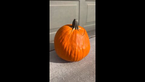 Trumpkin 2024