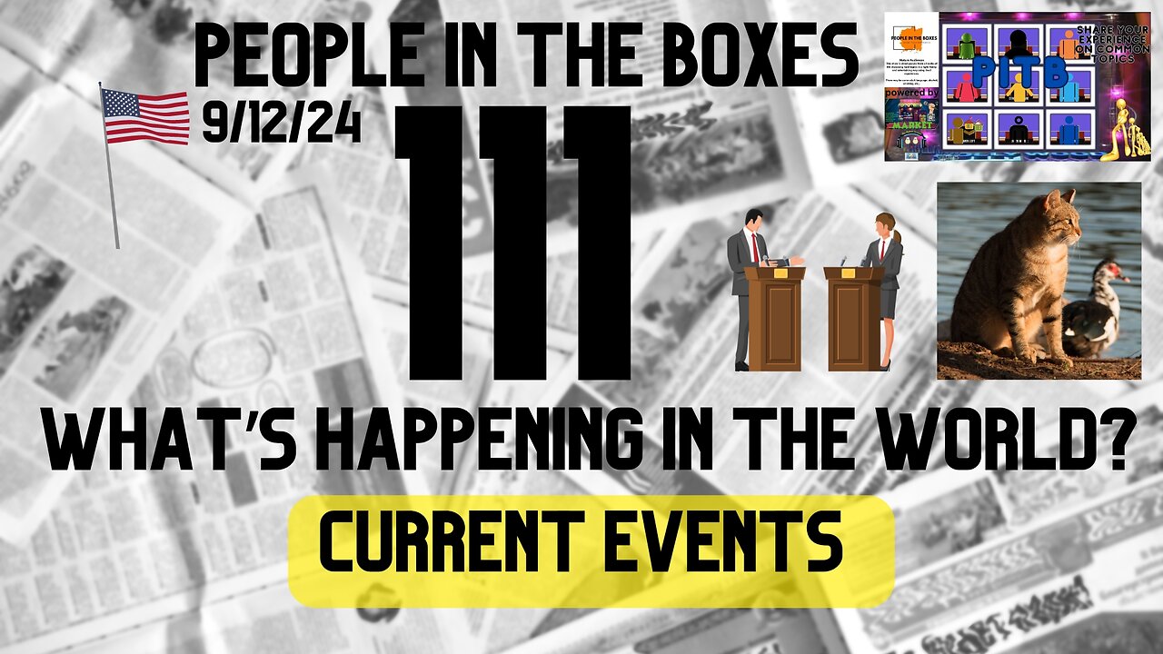 People In The Boxes ep111, What Is Going On Out There? Ducks Eating Cats Or something?