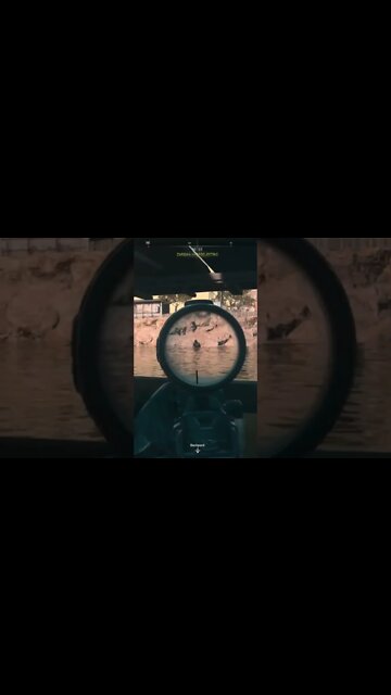 When the team says #shorts