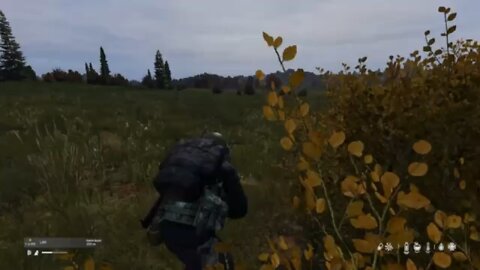 Ducking and diving in DayZ