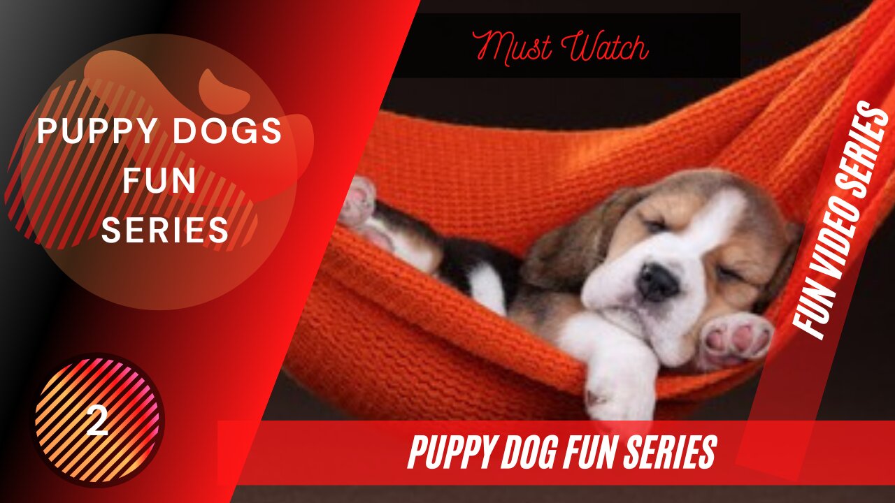 CUTE PUPPIES FUN VIDEO SERIES