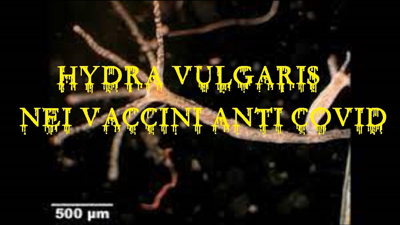 ⚠️☠️💉 Dr. Carrie Madej SHOCK: Hydra vulgaris nei vaccini anti covid - Idra