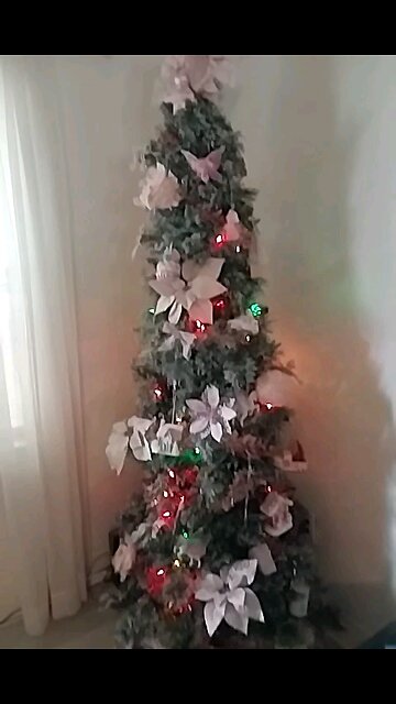 Putting Up Christmas Decorations! Happy Thanksgiving!