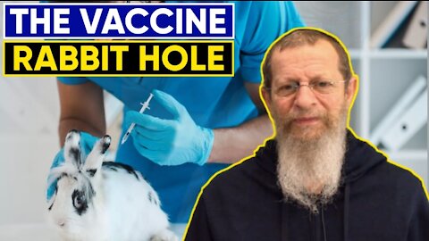 THE VACCINE RABBIT HOLE. Torah and today's news.