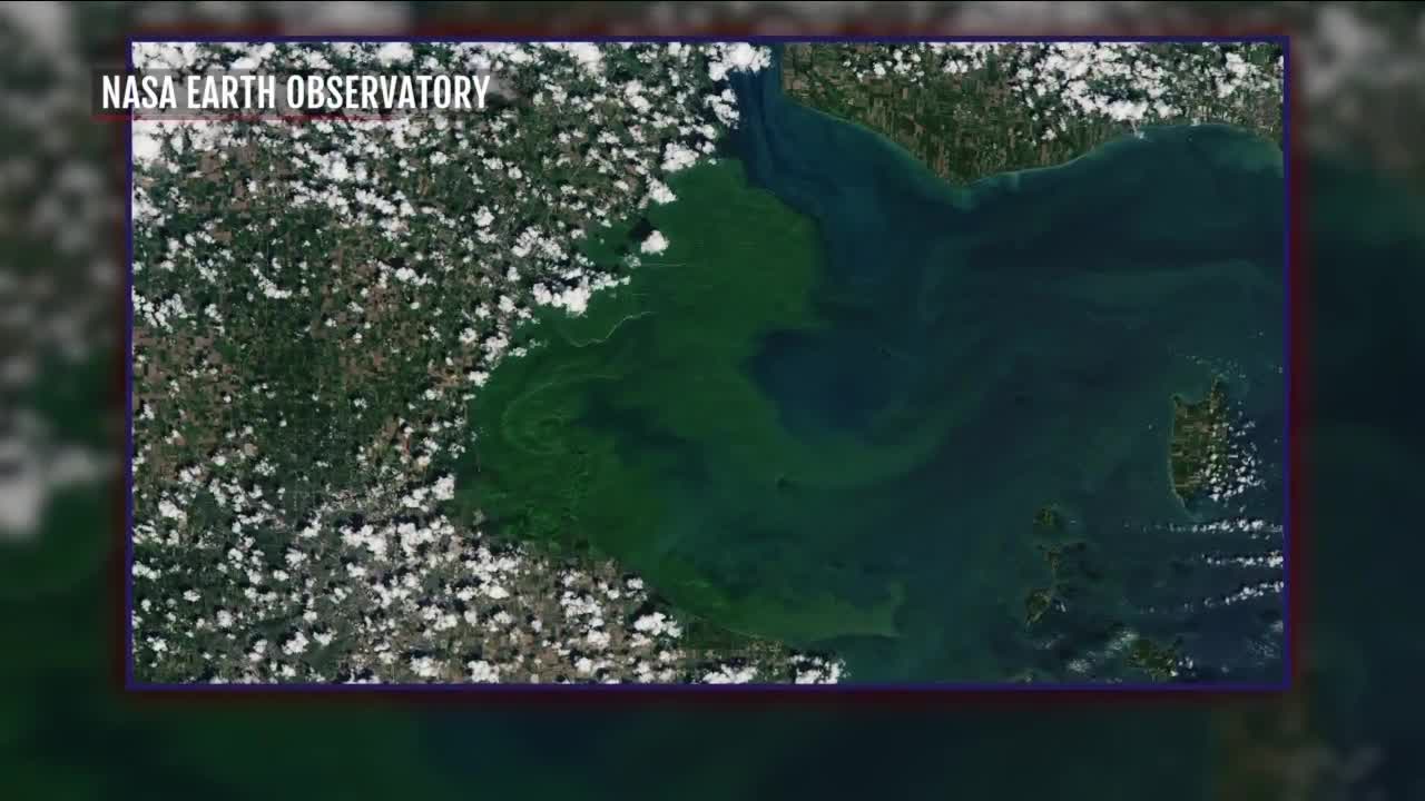 Algae bloom, now visible from space, is costing water treatment plants more money