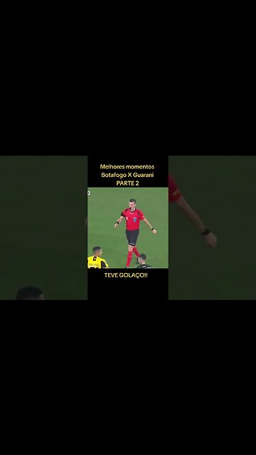 BOTAFOGO 2x1 GUARANI MELHORES MOMENTOS #botafogo #brasileirão #segueolíder
