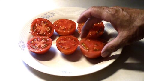 Taste Testing Box Car Willie, Arkansas Traveler, and Eva Purple Ball Tomatoes