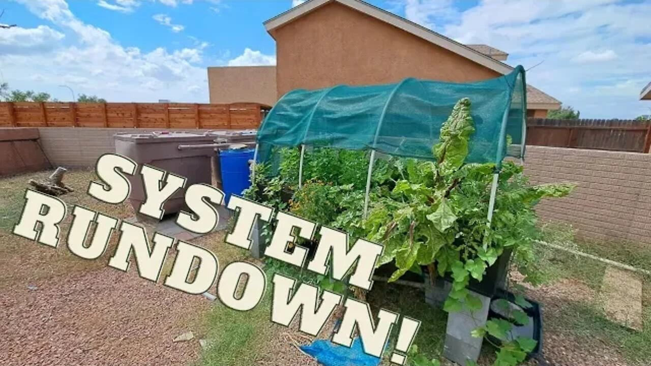 Aquaponics Rundown